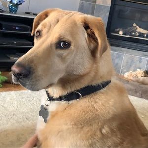 Meet your Posher, Miranda